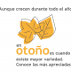 setas en otoño